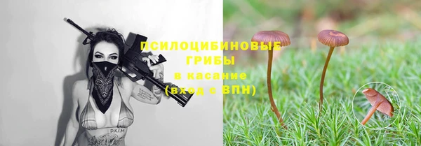 ешки Беломорск