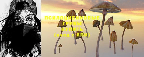 ешки Беломорск