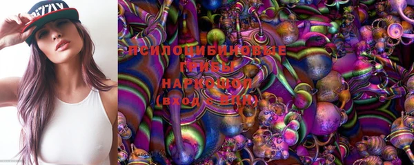 mdpv Белокуриха
