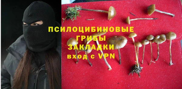 mdpv Белокуриха