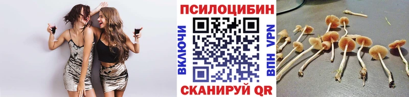 MEGA ссылки  Калининец  маркетплейс состав  Псилоцибиновые грибы мицелий 